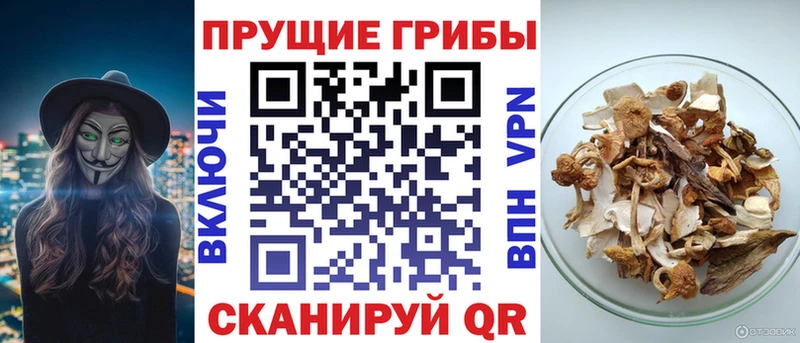 Галлюциногенные грибы Cubensis  наркотики  Анадырь 